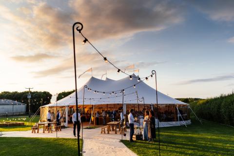 Marriage at Dinton Pastures