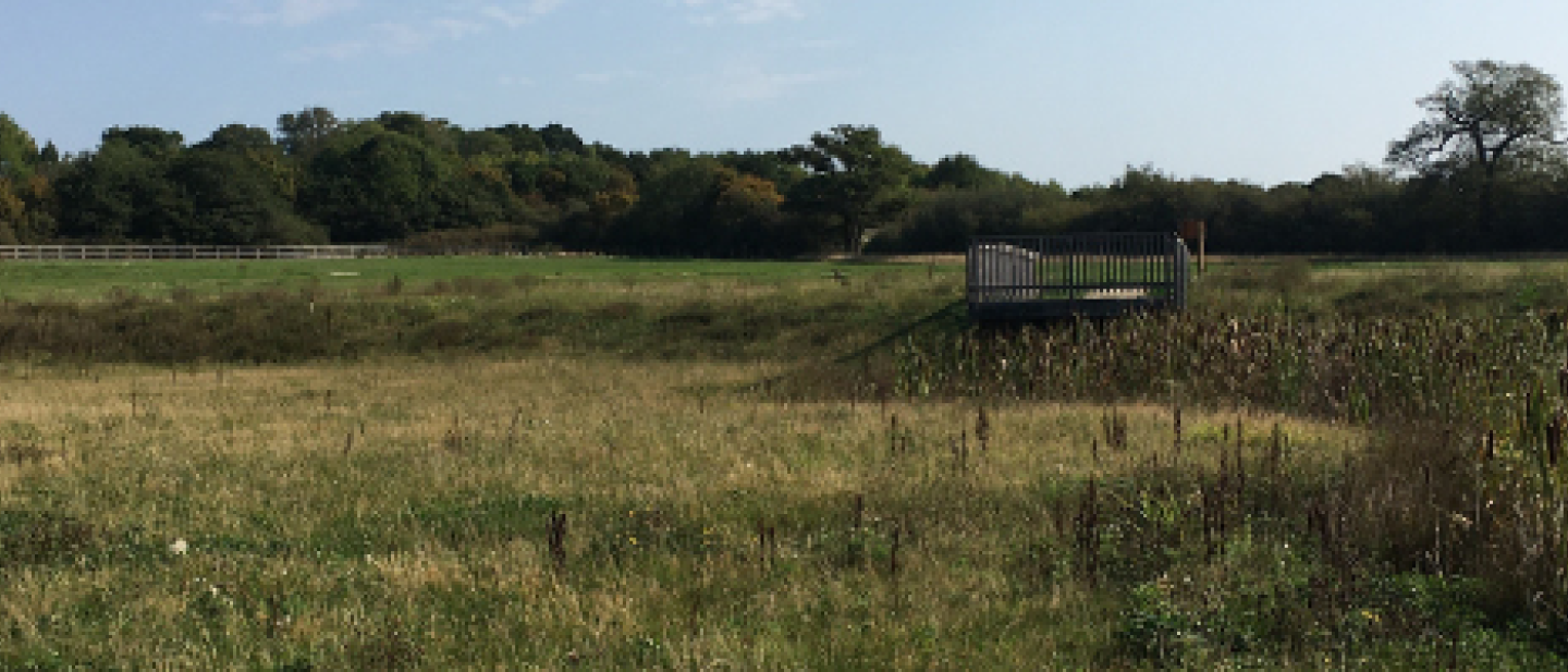 Ashridge country park