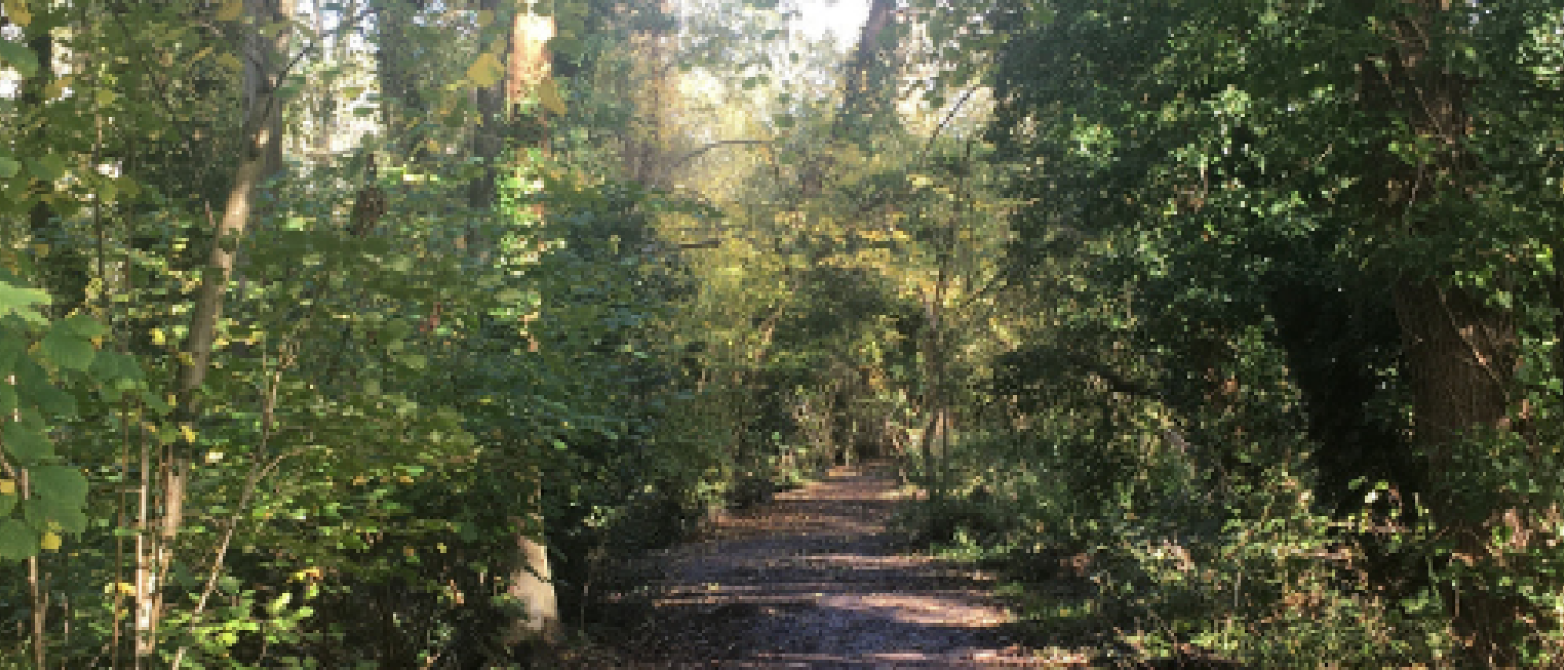 Aldermoors nature park