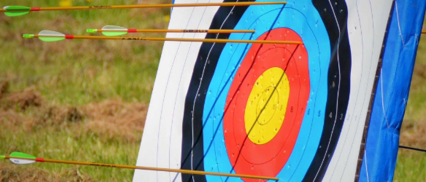 Land activities, archery target with arrows in it