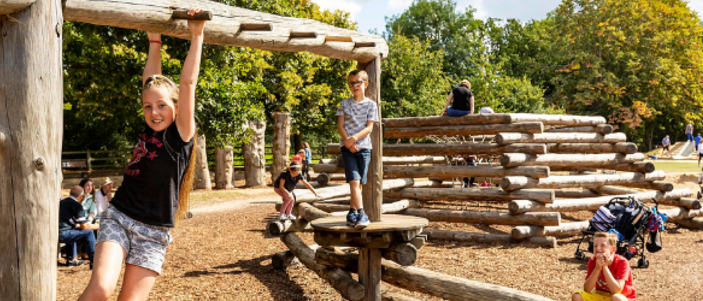 Children playing in the park