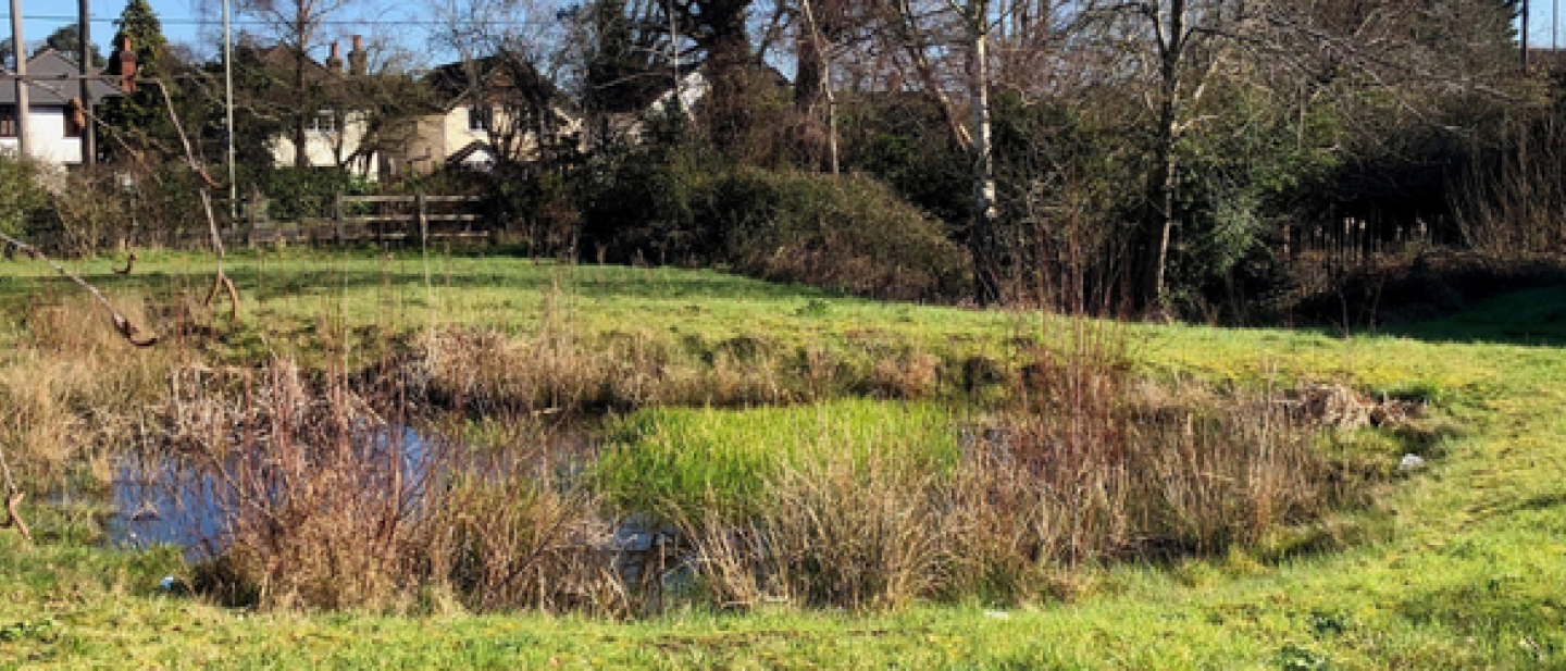 Reading road pond