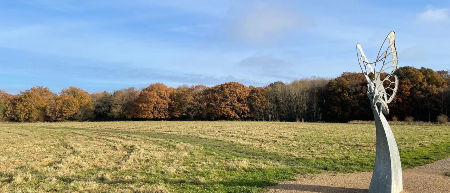 Buckhurst Meadows